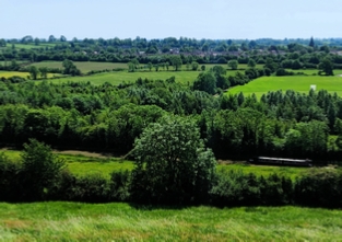 Support our Woodland